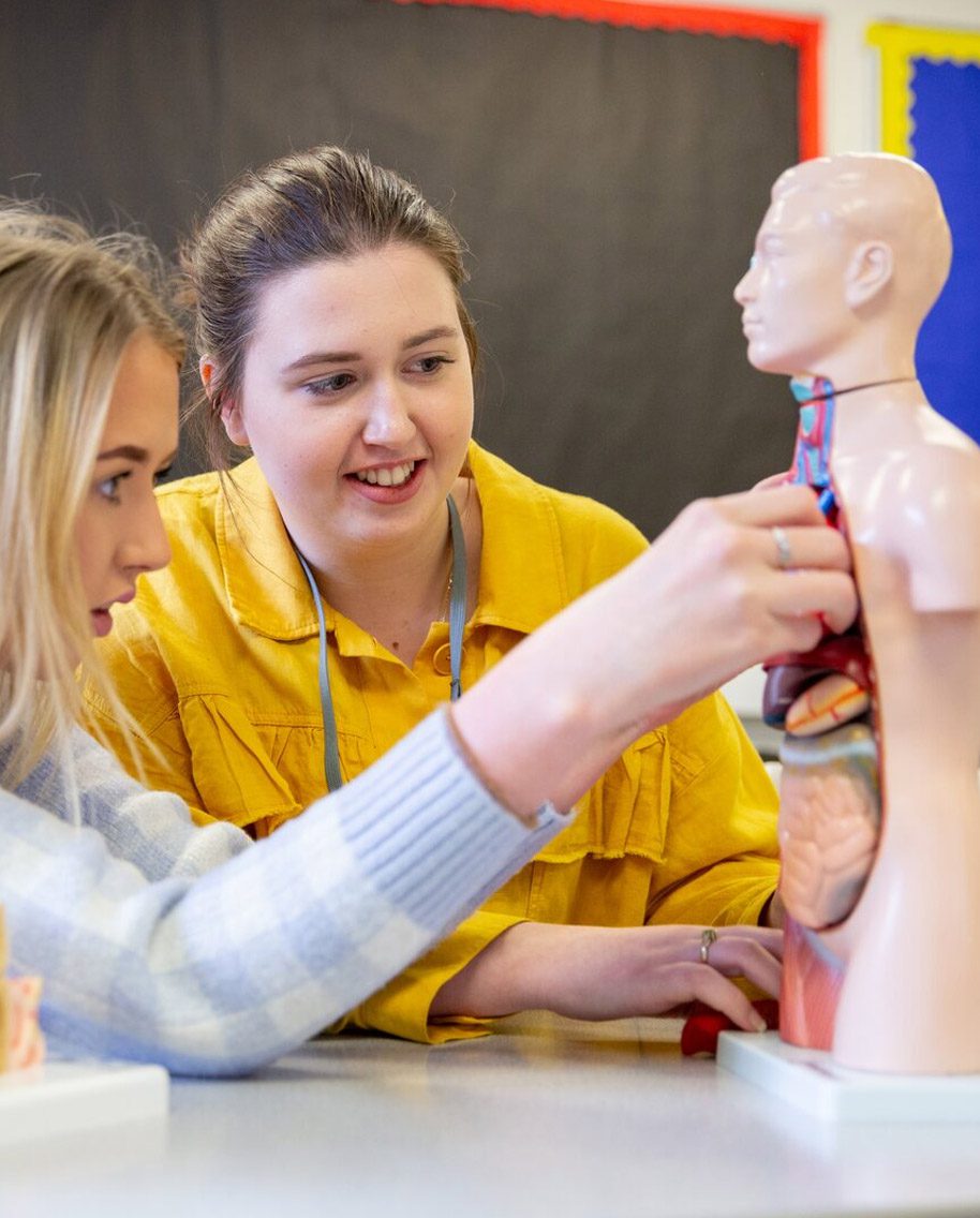 Students learning with anatomy figure