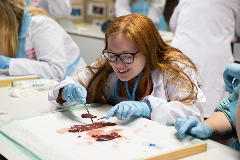 Health student in labs